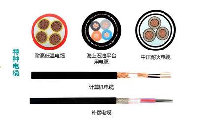 鑫電電纜 二十八年匠心傳承，特種電纜領(lǐng)域的先鋒力量